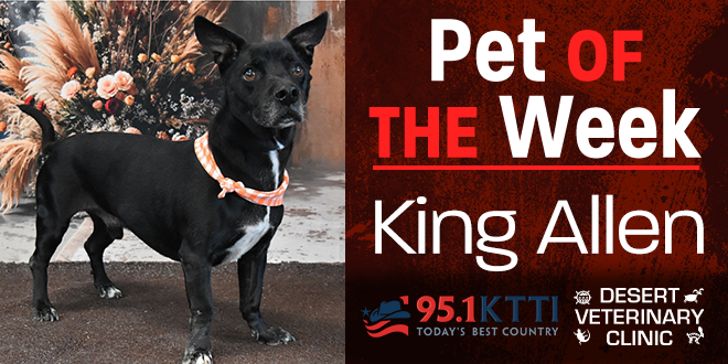Pet of the Week